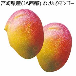 宮崎県産(JA西都) わけありマンゴー (お届け期間：6/22〜7/31) 【夏ギフト・お中元】