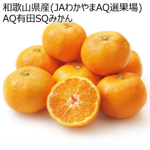 和歌山県産(JAわかやまAQ選果場) AQ有田SQみかん(お届け期間：11/11〜12/28)【冬の贈りもの・お歳暮】