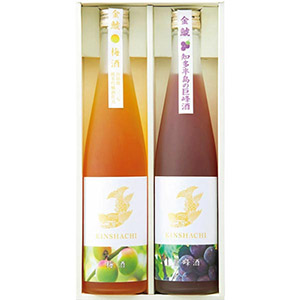 盛田きんしゃち酒造 知多半島の果物のお酒2本セット「梅と巨峰」【夏の贈りもの・お中元】[UK-2]