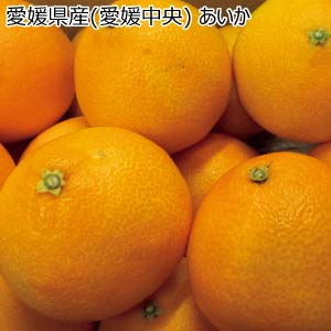 愛媛県産(愛媛中央) あいか(お届け期間：12/1〜12/31)【冬の贈りもの・お歳暮】