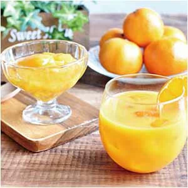 早和果樹園 飲むみかん濃厚ジュレ小箱ギフト【父の日】