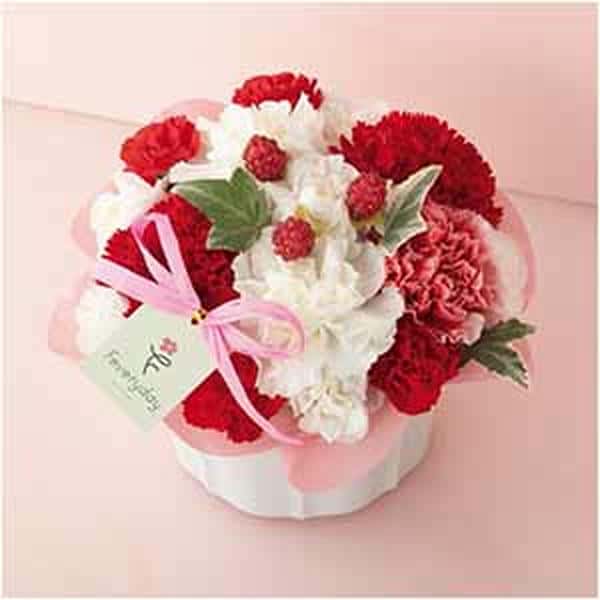welzoFLOWER カーネーションアレンジ「ラズベリーパフェ」【母の日】