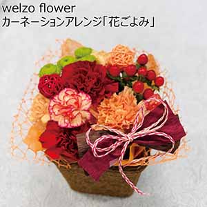 welzo flower カーネーションアレンジ「花ごよみ」 【母の日】