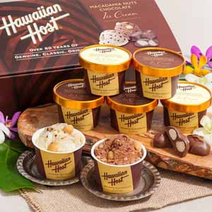 ハワイアンホースト  マカデミアナッツチョコアイス[V-AH-HH]【お届け期間：2/11〜2/14】【バレンタイン】