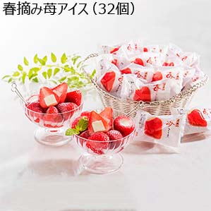 春摘み苺アイス（32個）[AH-HBB]【おいしいお取り寄せ】