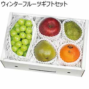 ウィンターフルーツギフトセット (お届け期間：12/1〜12/31) 【冬ギフト・お歳暮】