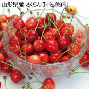 山形県産 さくらんぼ「佐藤錦」(お届け期間：6/1〜6/25)【夏の贈りもの・お中元】