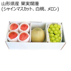 山形県産 果実爛漫(シャインマスカット、白桃、メロン)(お届け期間：7/24〜8/15)【夏の贈りもの・お中元】