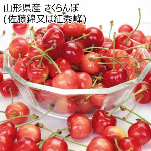 山形県産 さくらんぼ(佐藤錦又は紅秀峰)(お届け期間：5/26〜6/30)【夏の贈りもの・お中元】