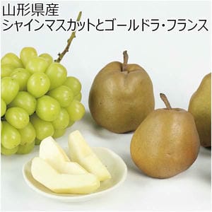 山形県産 シャインマスカットとゴールドラ・フランス(お届け期間：11/11〜12/31)【冬の贈りもの・お歳暮】