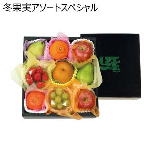 冬果実アソートスペシャル(お届け期間：11/11〜12/31)【冬の贈りもの・お歳暮】