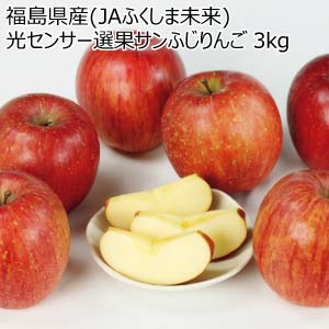 福島県産(JAふくしま未来) 光センサー選果サンふじりんご 3kg(お届け期間：11/11〜12/31)【冬の贈りもの・お歳暮】