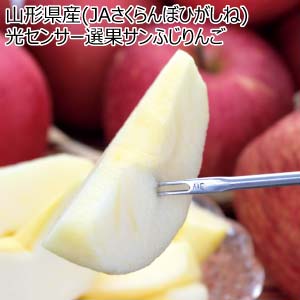 山形県産(JAさくらんぼひがしね) 光センサー選果サンふじりんご(お届け期間：11/15〜12/31)【冬の贈りもの・お歳暮】