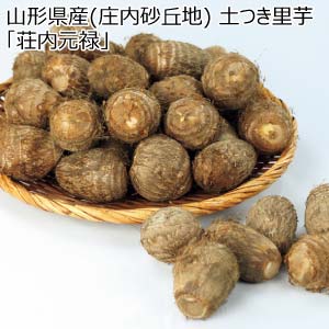 山形県産(庄内砂丘地) 土つき里芋「荘内元禄」(お届け期間：12/1〜12/31)【冬の贈りもの・お歳暮】