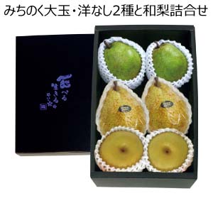 みちのく大玉・洋なし2種と和梨詰合せ(お届け期間：11/15〜12/31)【冬の贈りもの・お歳暮】
