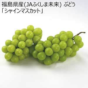 福島県産(JAふくしま未来) ぶどう「シャインマスカット」(お届け期間：7/21〜8/25)【夏の贈りもの・お中元】