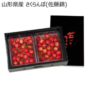 山形県産 さくらんぼ(佐藤錦)(お届け期間：6/11〜6/30)【夏の贈りもの・お中元】