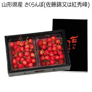 山形県産 さくらんぼ(佐藤錦又は紅秀峰)(お届け期間：6/15〜7/5)【夏の贈りもの・お中元】