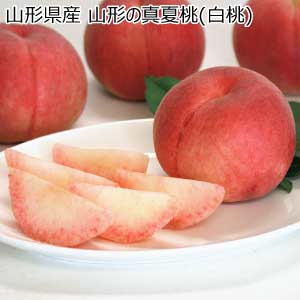 山形県産 山形の真夏桃(白桃)(お届け期間：7/25〜8/15)【夏の贈りもの・お中元】