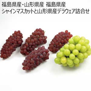 福島県産・山形県産 福島県産シャインマスカットと山形県産デラウェア詰合せ(お届け期間：7/15〜8/15)【夏の贈りもの・お中元】
