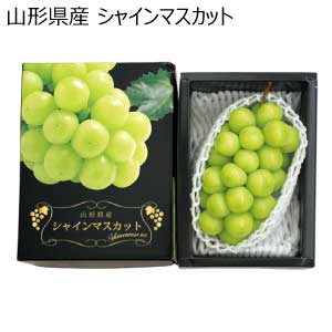 山形県産 シャインマスカット(お届け期間：7/25〜8/15)【夏の贈りもの・お中元】