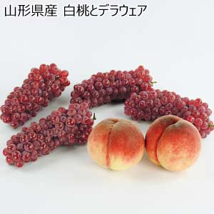 山形県産 白桃とデラウェア(お届け期間：7/28〜8/15)【夏の贈りもの・お中元】