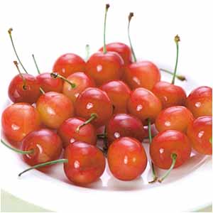 山形県産 さくらんぼ(佐藤錦)100g×2【母の日】