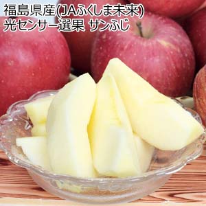 福島県産(JAふくしま未来) 光センサー選果 サンふじ(お届け期間：11/21〜12/31)【冬の贈りもの・お歳暮】