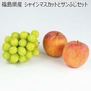 福島県産 シャインマスカットとサンふじセット(お届け期間：11/15〜12/31)【冬の贈りもの・お歳暮】