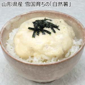 山形県産 雪国育ちの「自然薯」(お届け期間：11/11〜12/31)【冬の贈りもの・お歳暮】