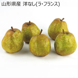 山形県産 洋なし(ラ・フランス)(お届け期間：10/28〜12/31)【冬の贈りもの・お歳暮】