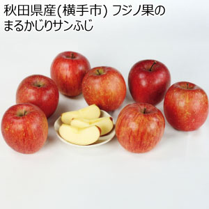 秋田県産(横手市) フジノ果のまるかじりサンふじ(お届け期間：12/1〜12/20)【冬の贈りもの・お歳暮】