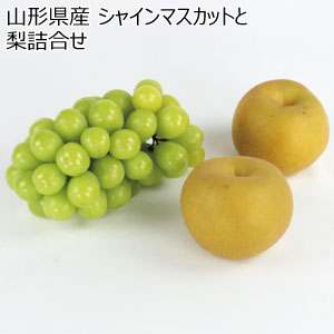 山形県産 シャインマスカットと梨詰合せ(お届け期間：10/26〜12/20)【冬の贈りもの・お歳暮】