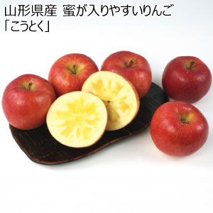 山形県産 蜜が入りやすいりんご「こうとく」(お届け期間：10/26〜11/30)【冬の贈りもの・お歳暮】