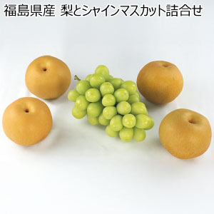 福島県産 梨とシャインマスカット詰合せ(お届け期間：10/26〜12/10)【冬の贈りもの・お歳暮】