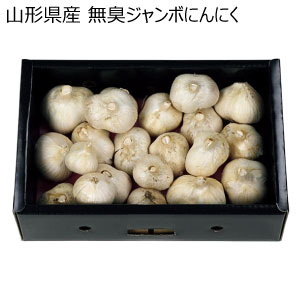 山形県産 無臭ジャンボにんにく(お届け期間：10/26〜11/30)【冬の贈りもの・お歳暮】
