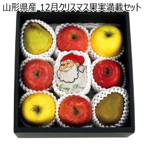 山形県産 12月クリスマス果実満載セット(お届け期間：12/1〜12/23)【冬の贈りもの・お歳暮】