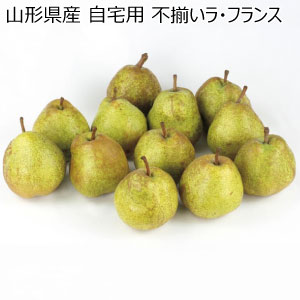 山形県産 自宅用 不揃いラ・フランス(お届け期間：10/26〜12/31)【冬の贈りもの・お歳暮】