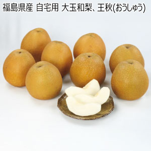 福島県産 自宅用 大玉和梨、王秋(おうしゅう)(お届け期間：11/15〜12/31)【冬の贈りもの・お歳暮】