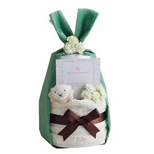 オーガニック おむつケーキ ライオン[OM0004-18]【年間ギフト】