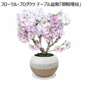 フローラル・プロダクツ テーブル盆栽「御殿場桜」 (お届け期間：12/19〜12/31) 【冬ギフト・お歳暮】