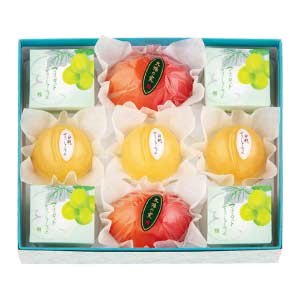 宗家 源吉兆庵 源吉兆庵の夏菓撰【夏の贈りもの・お中元】[ON-30]