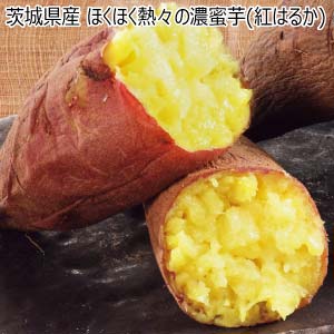 茨城県産 ほくほく熱々の濃蜜芋(紅はるか)(お届け期間：10/26〜12/31)【冬の贈りもの・お歳暮】