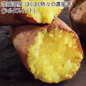 茨城県産 ほくほく熱々の濃蜜芋(シルクスイート)(お届け期間：10/26〜12/31)【冬の贈りもの・お歳暮】