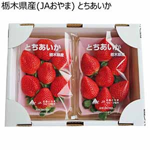 栃木県産(JAおやま) とちあいか (お届け期間：12/1〜12/28)【冬ギフト・お歳暮】