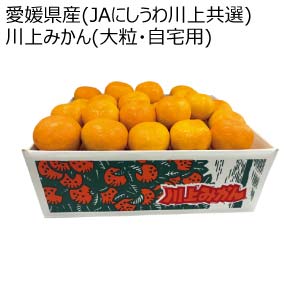 愛媛県産(JAにしうわ川上共選) 川上みかん(大粒・自宅用)(お届け期間:11/21〜12/30)【冬の贈りもの・お歳暮】
