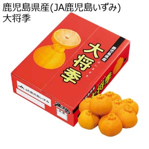 鹿児島県産(JA鹿児島いずみ) 大将季(お届け期間：12/5〜12/30)【冬の贈りもの・お歳暮】