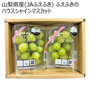 山梨県産(JAふえふき) ふえふきのハウスシャインマスカット(お届け期間：7/11〜8/15)【夏の贈りもの・お中元】