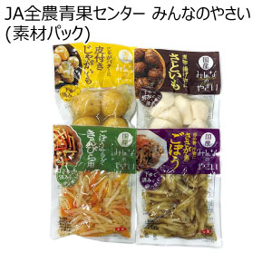 JA全農青果センター みんなのやさい(素材パック)(お届け期間：10/26〜12/30)【冬の贈りもの・お歳暮】