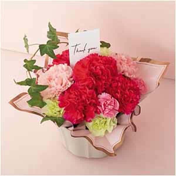 竹中庭園緑化 フラワーアレンジ「サンクスガーデン」【母の日】